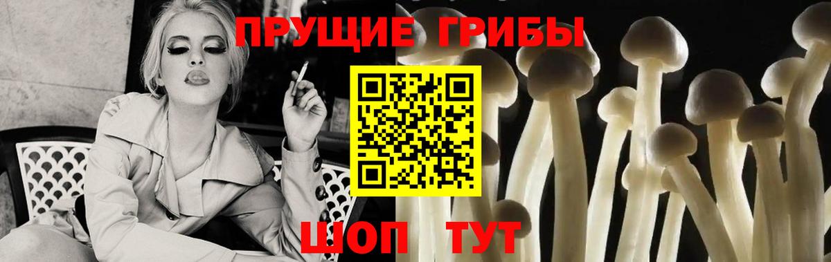 Галлюциногенные грибы мухоморы  Галлюциногенные грибы GOLDEN TEACHER  Карасук  Вход с VPN 