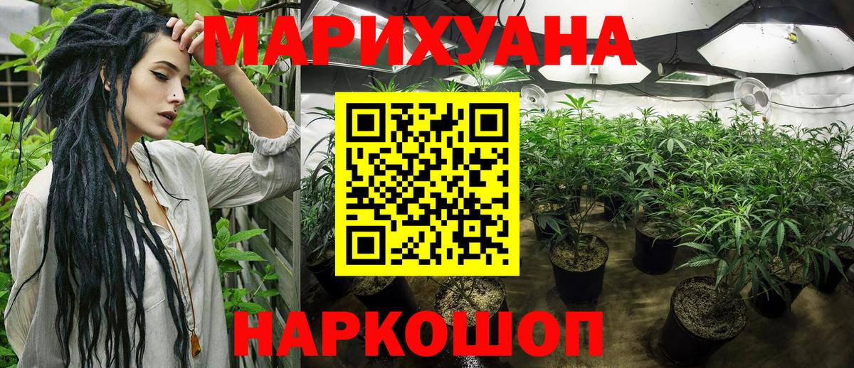 Бошки Шишки White Widow  Канабис Ganja  Карасук  Марихуана VHQ  Вход с VPN 
